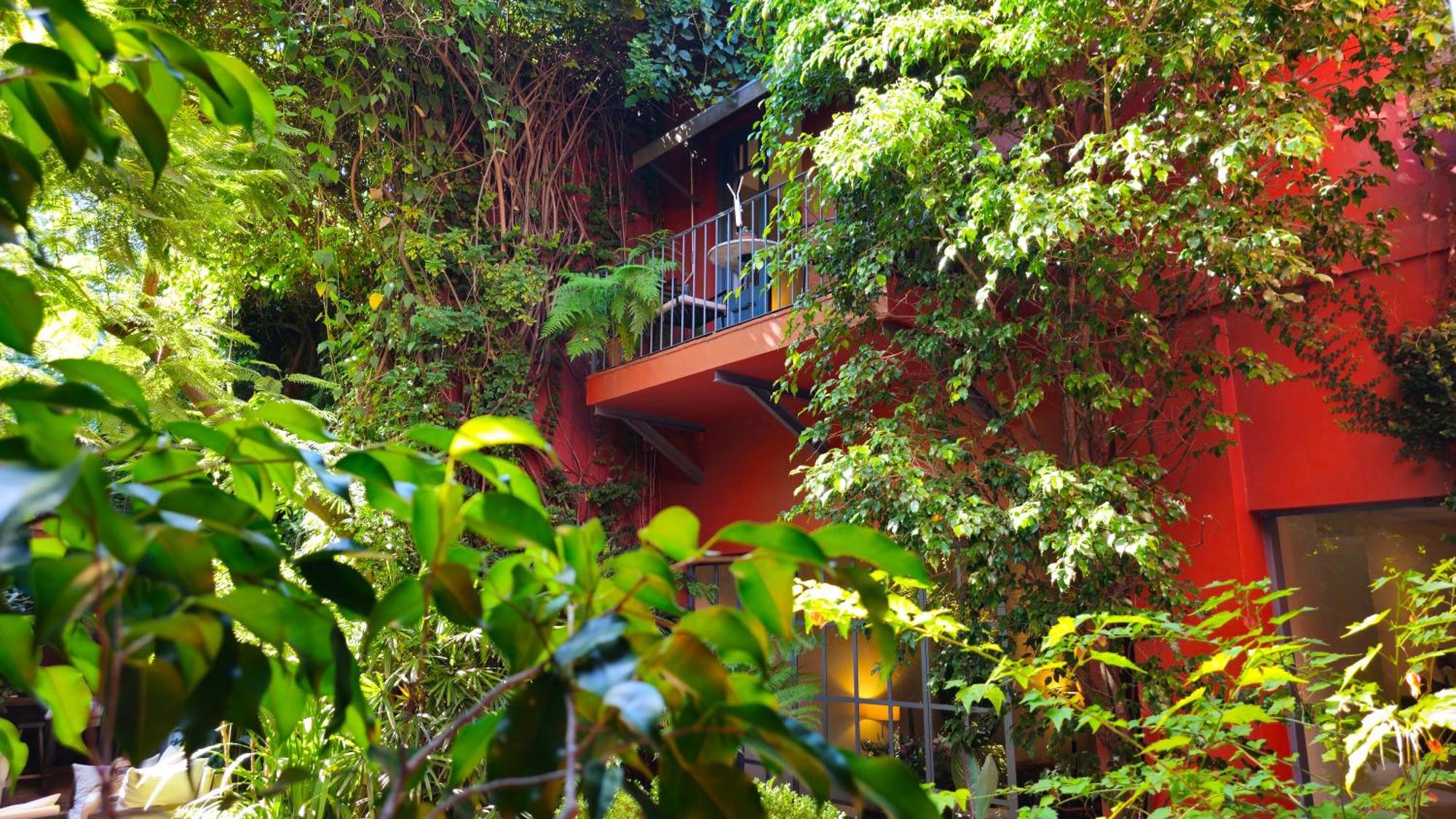 Be Jardin Escondido By Coppola, Buenos Aires